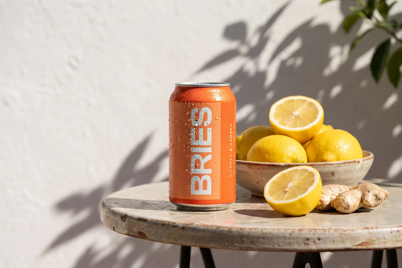 Can of BRIES lemon on a sunny terrace